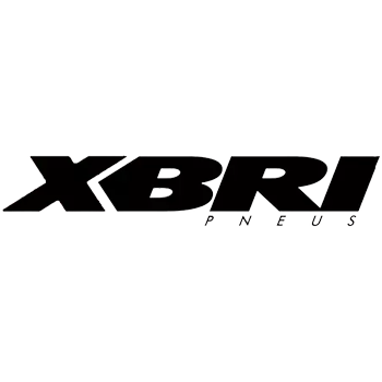 XBRI